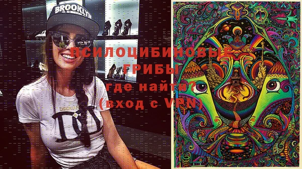 мяу мяу мука Абинск