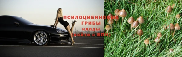 2c-b Сафоново