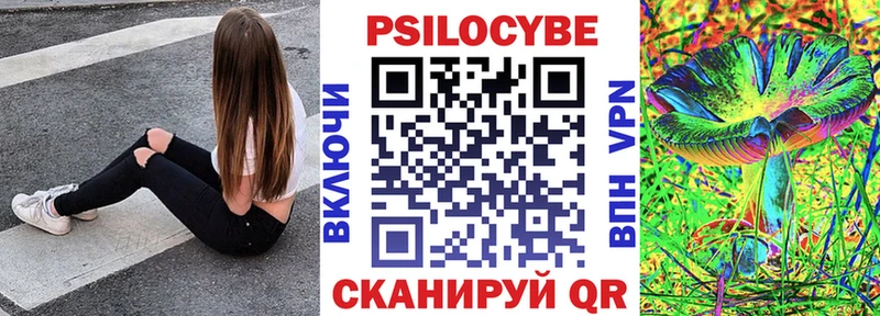 купить наркоту  Кизляр  Галлюциногенные грибы мицелий 